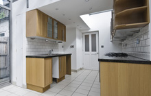 Stags Head kitchen extension leads